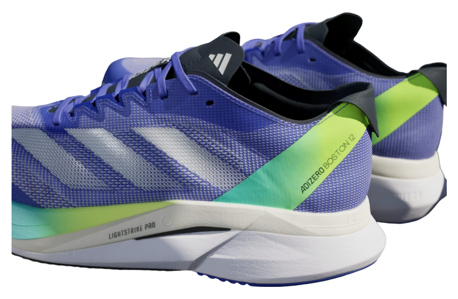 Adidas Adizero Boston 12 Cobalt Blue / Lucid Blue