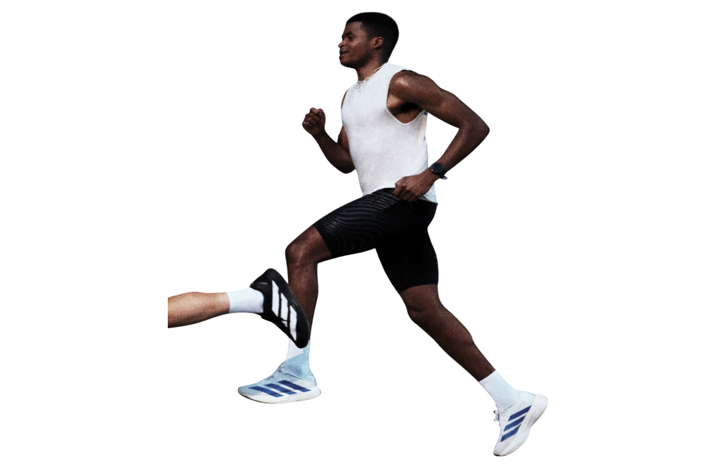 Adidas Adizero Evo SL Cloud White / Royal Blue