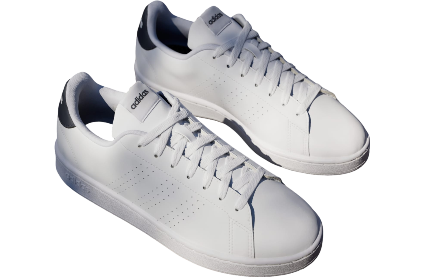 Adidas Advantage Cloud White / Legend Ink