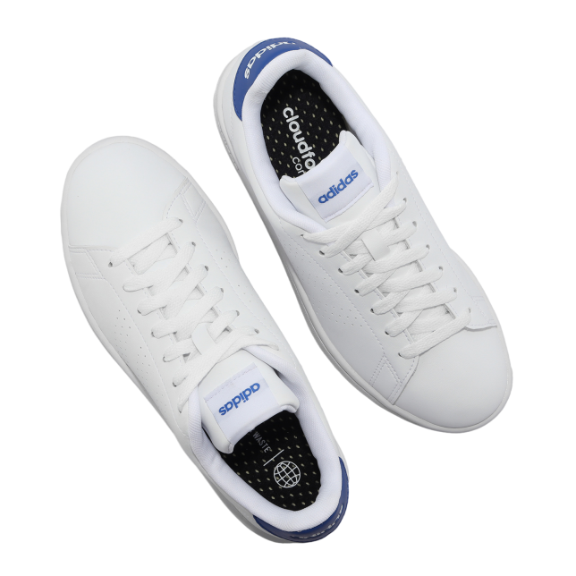 Adidas Advantage Cloud White / Royal Blue