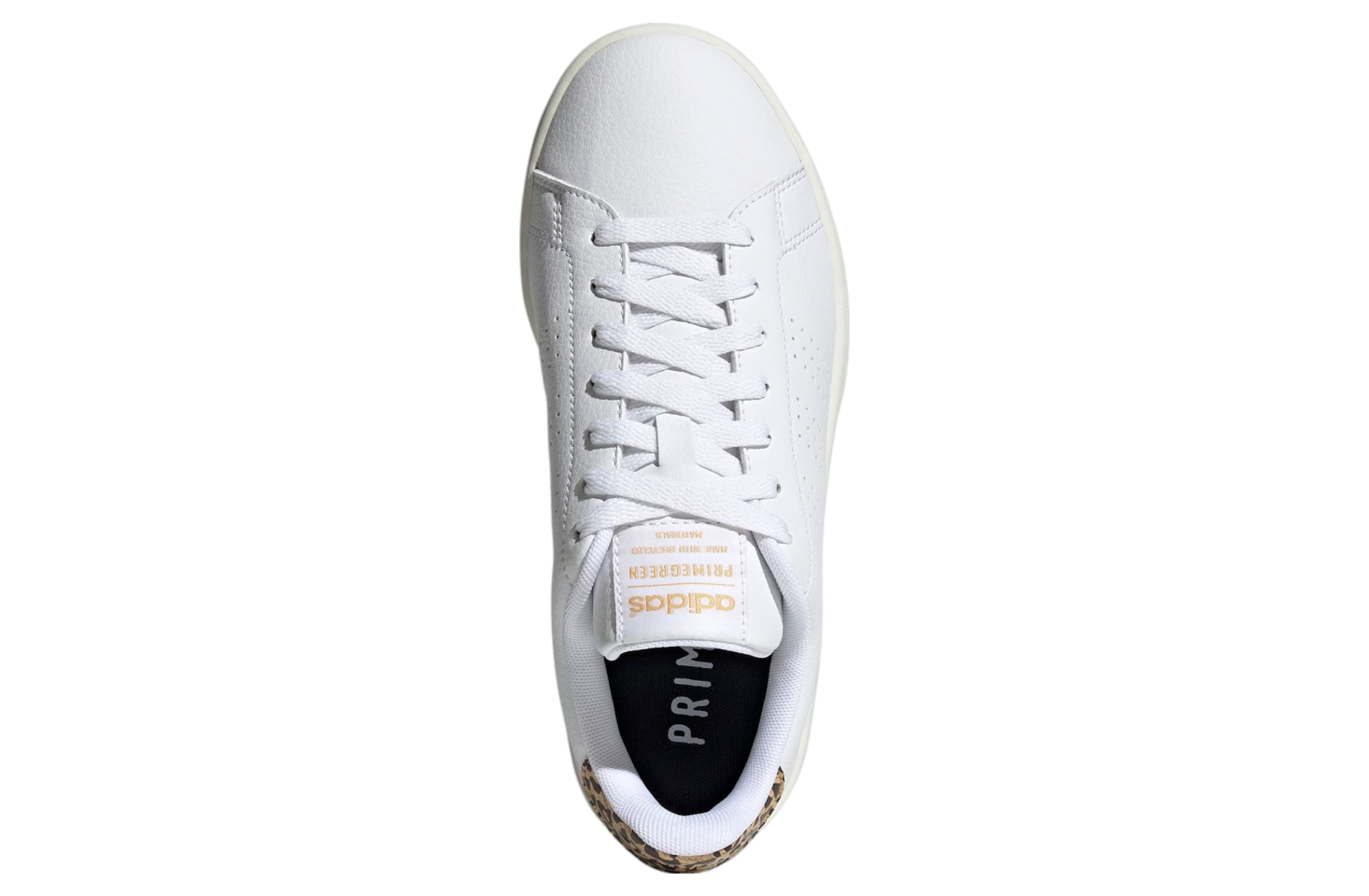 Adidas Advantage Wmns Cloud White / White Tint