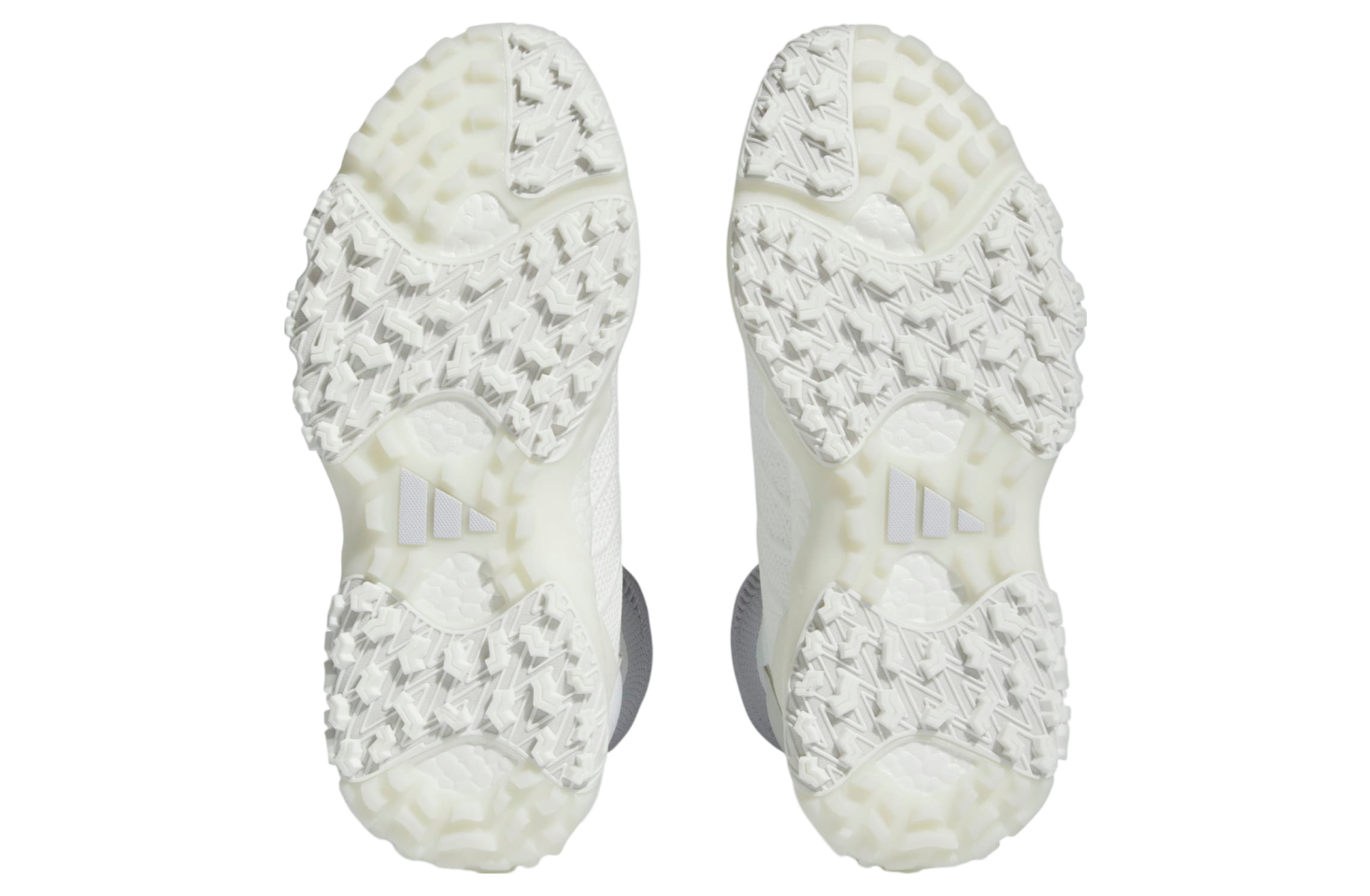 Adidas Codechaos Laceless Golf Cloud White / Dash Grey