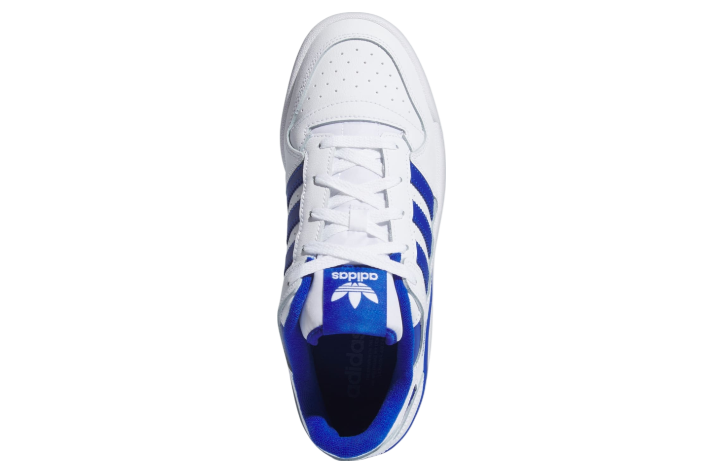 Adidas Forum Low Cloud White / Royal Blue