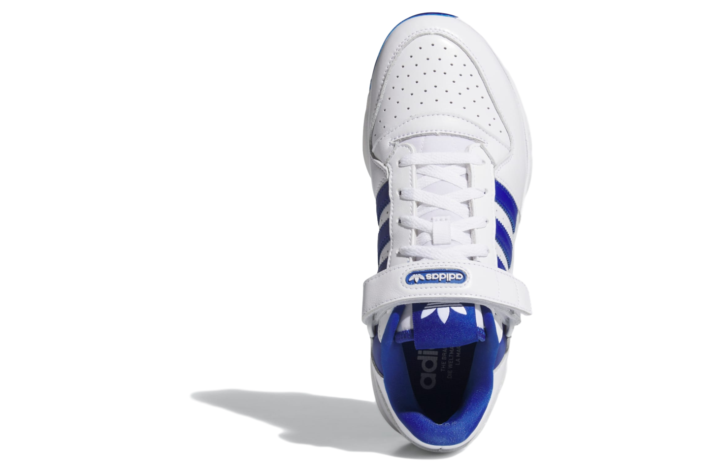 Adidas Forum Tpu Cloud White / Royal Blue