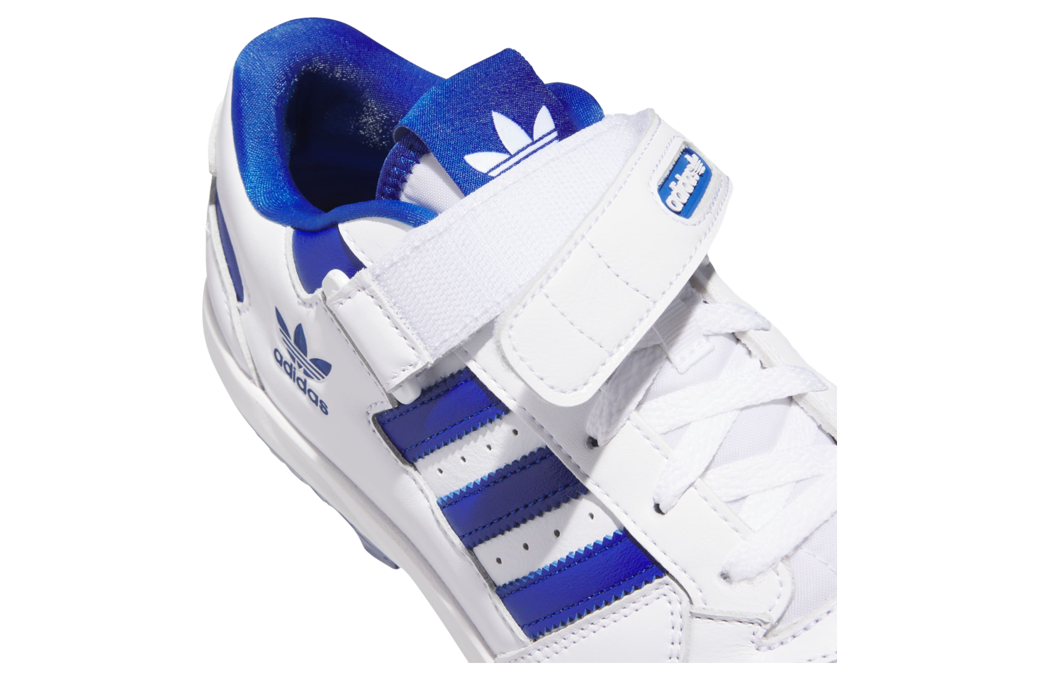 Adidas Forum Tpu Cloud White / Royal Blue