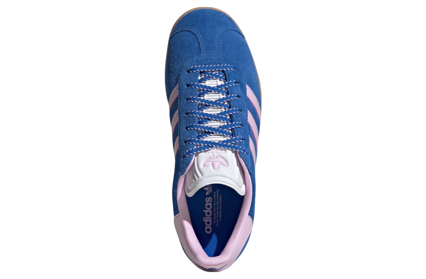 Adidas Gazelle WMNS Blue / Orchid Fusion