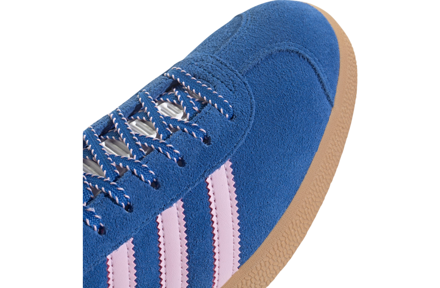 Adidas Gazelle WMNS Blue / Orchid Fusion