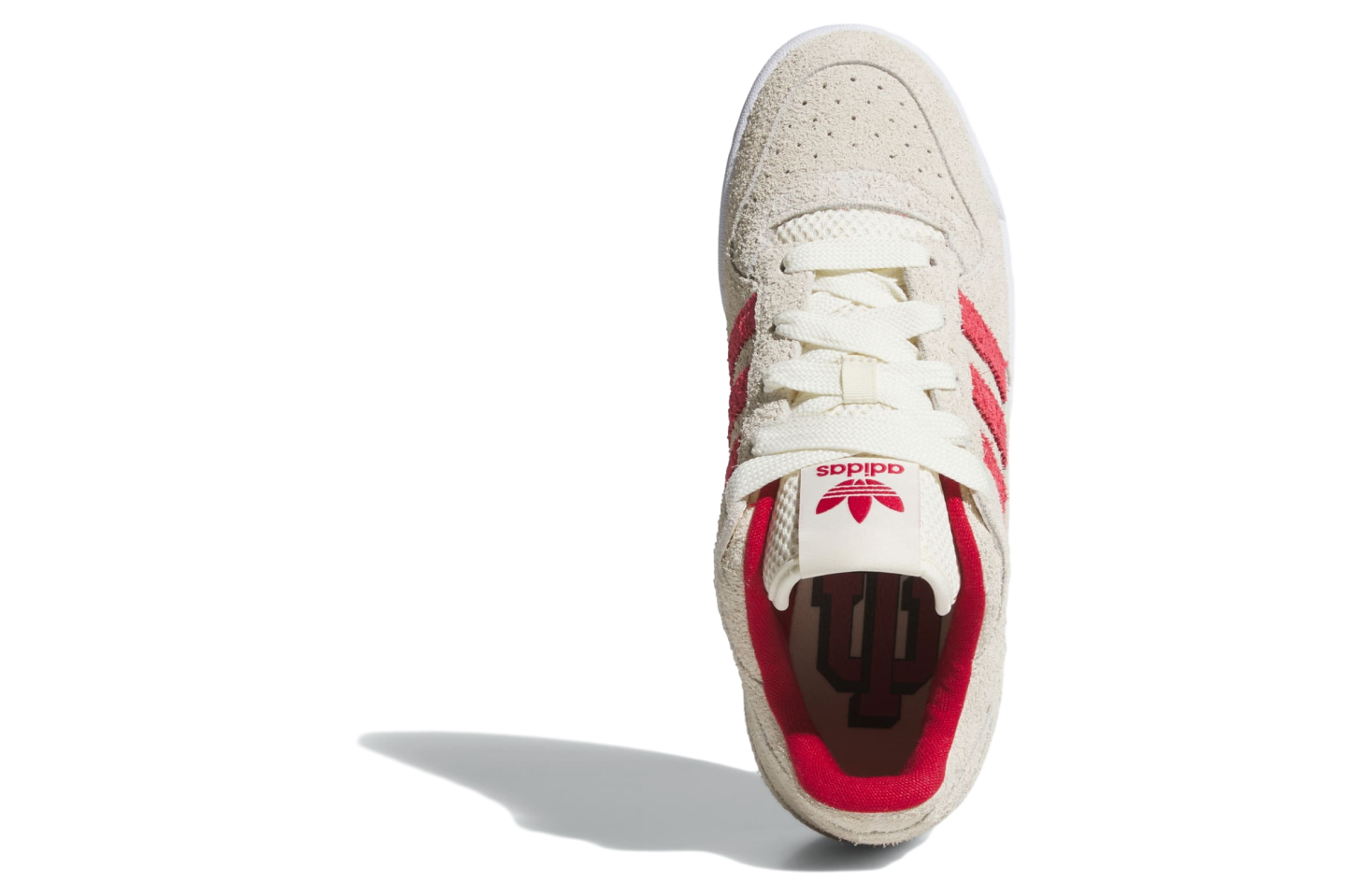 Adidas Indiana Hoosiers Forum Low Cl Cream White / Off White