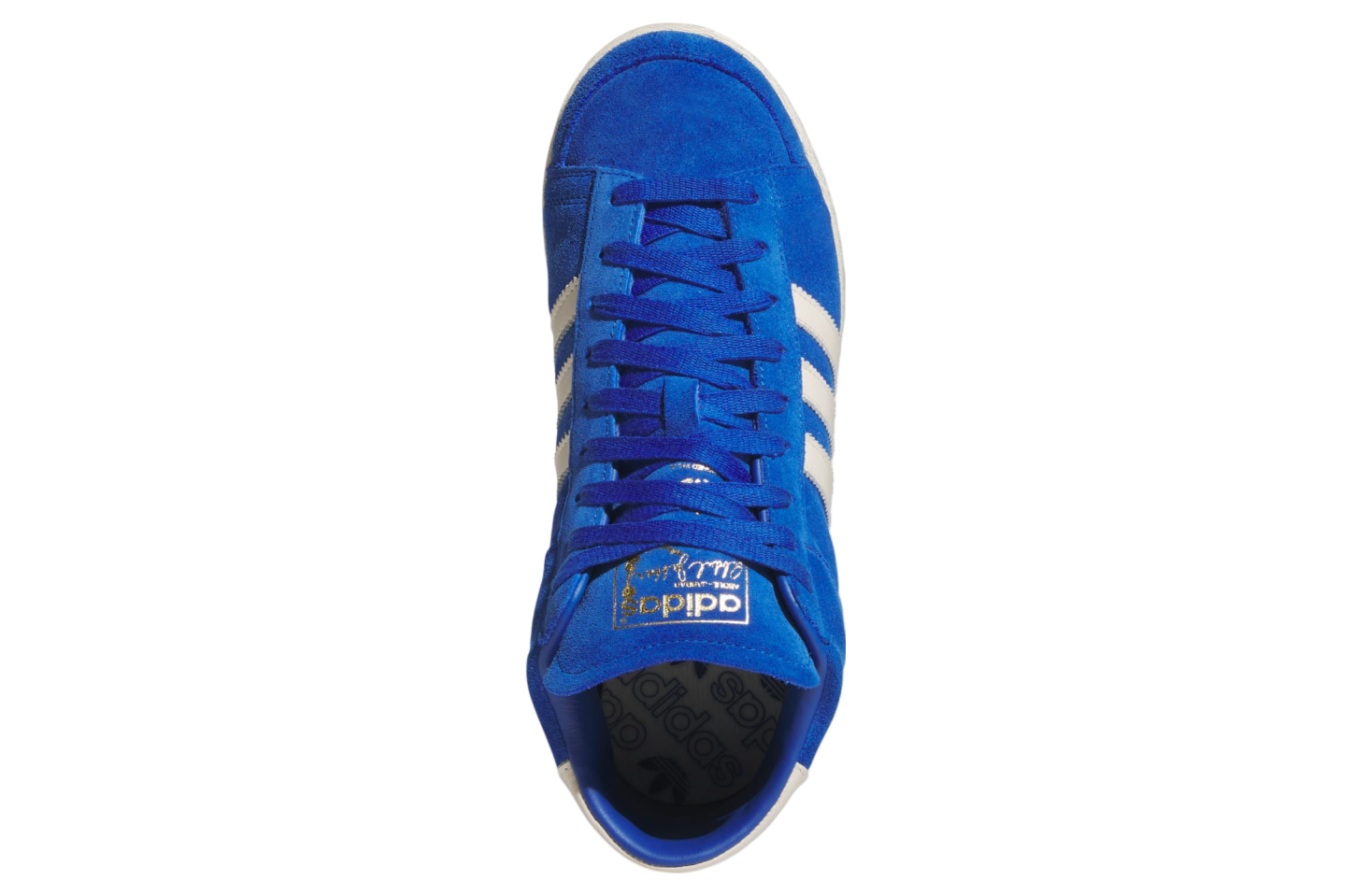 Adidas Jabbar High Top Royal Blue / Cream White