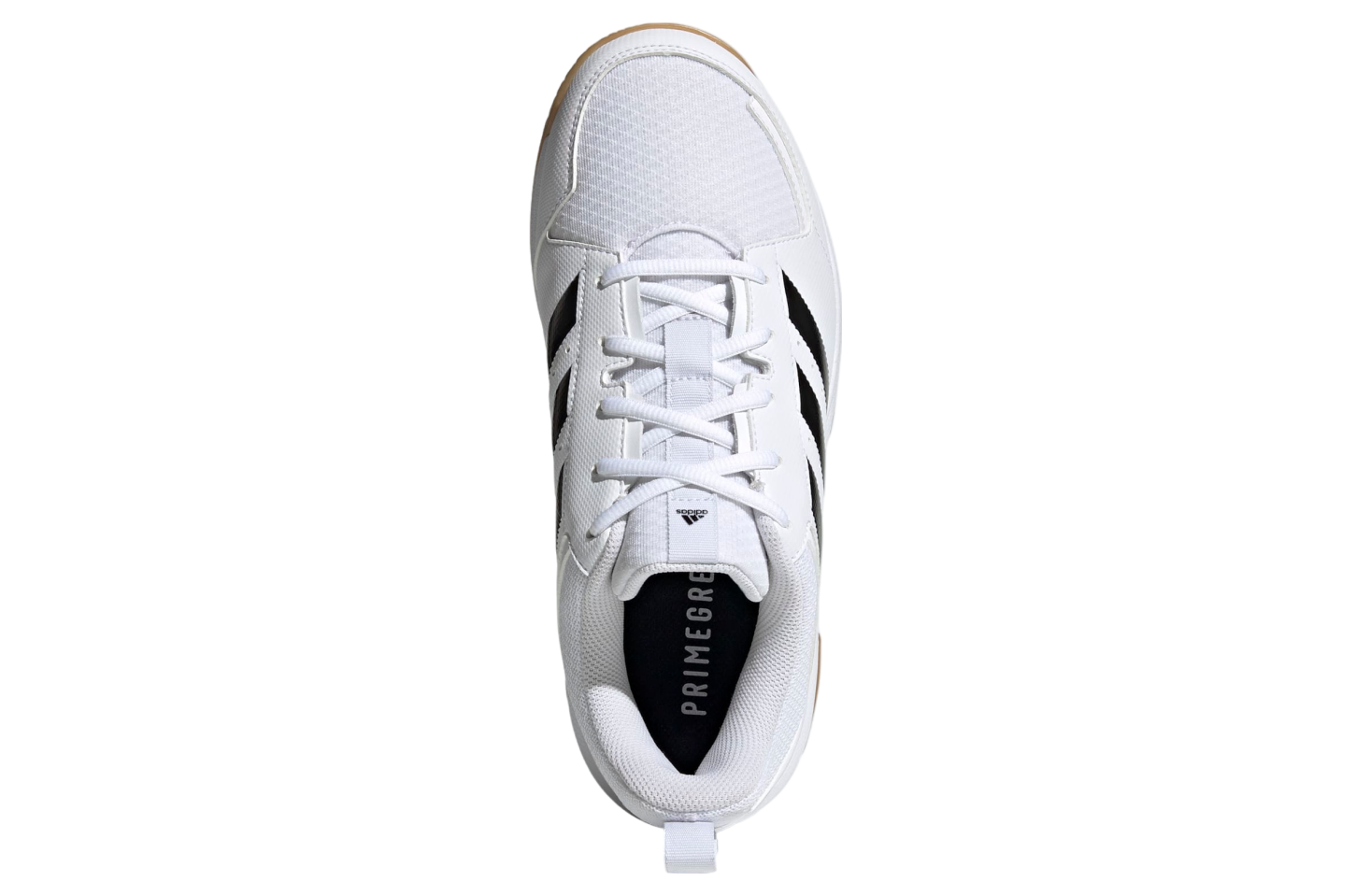 Adidas Ligra 7 Indoor Cloud White / Core Black / Gum