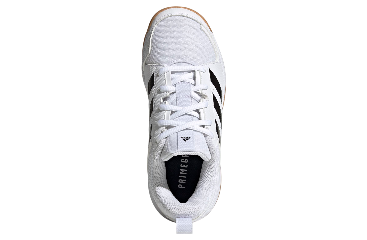 Adidas Ligra 7 Indoor GS Cloud White / Core Black / Gum