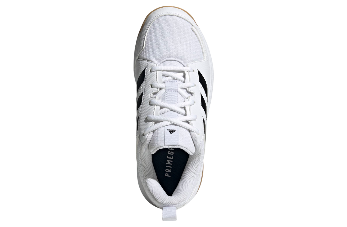 Adidas Ligra 7 Indoor WMNS Cloud White / Core Black