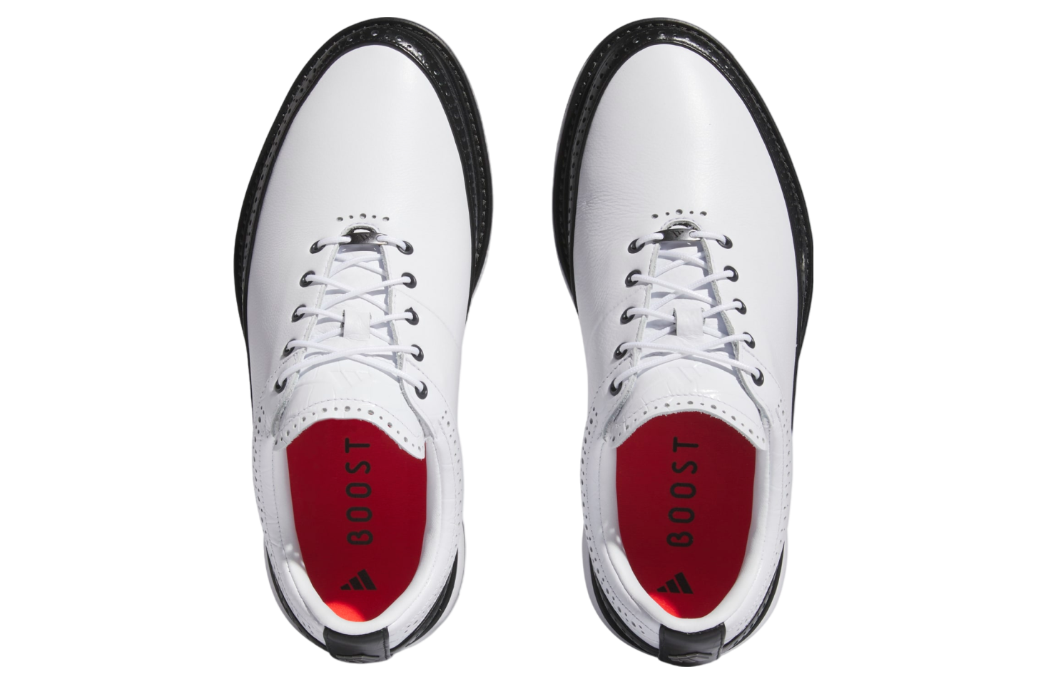 Adidas Mc80 Spikeless Golf WMNS Cloud White / Core Black