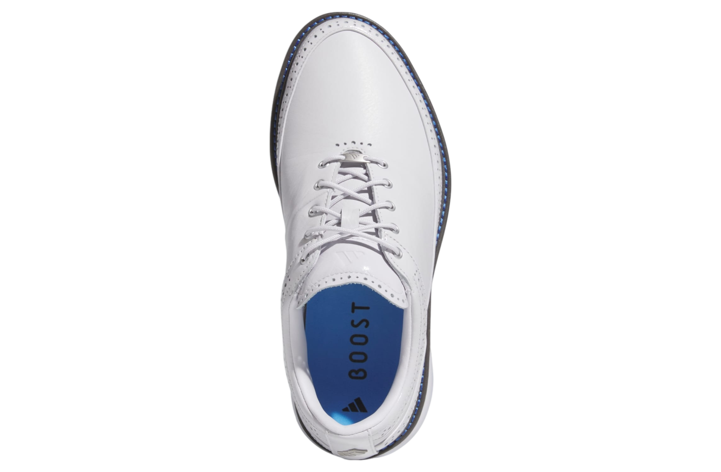 Adidas Mc80 Spikeless Golf WMNS Dash Grey / Blue Burst