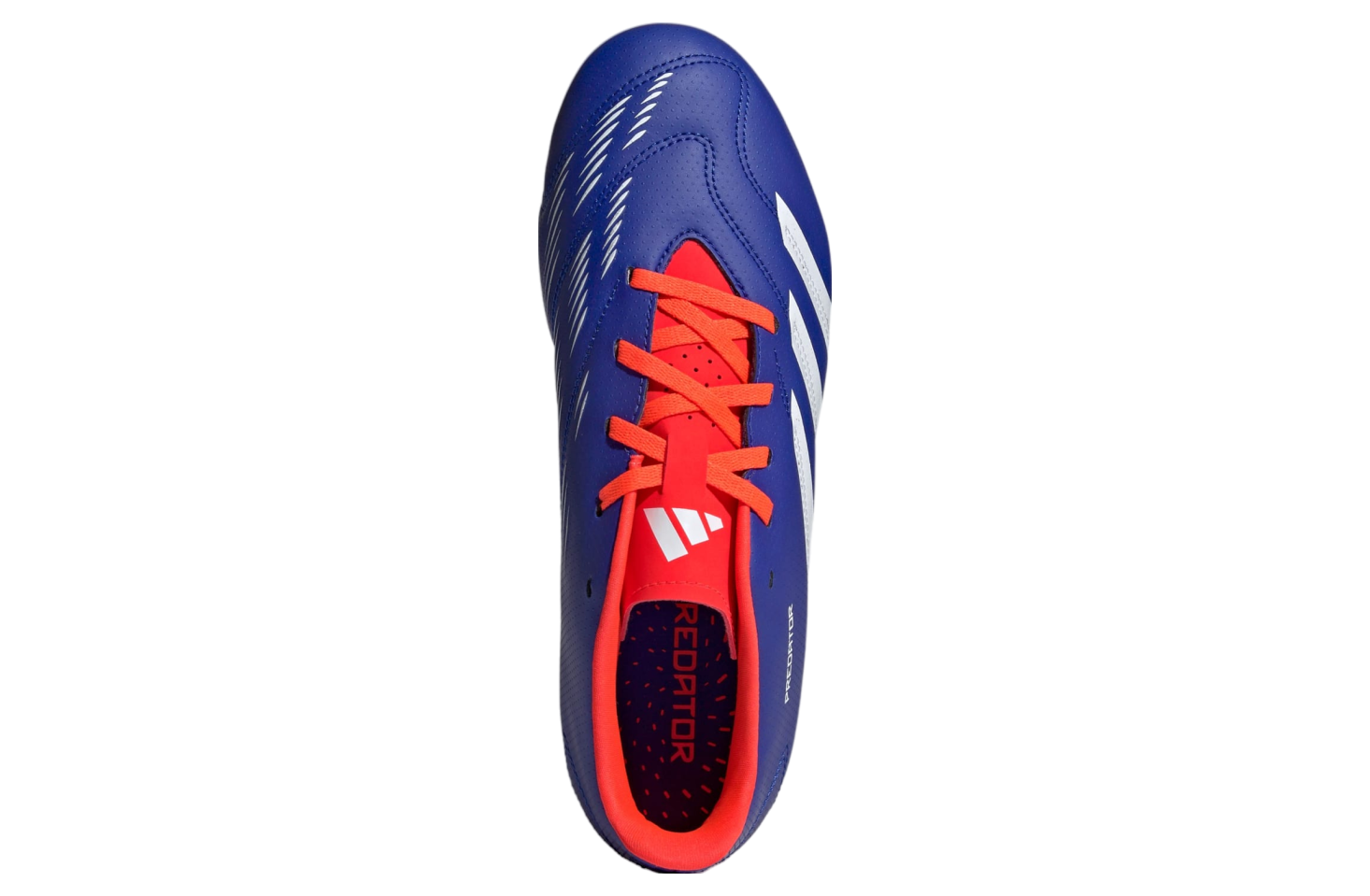 Adidas Predator Club Flexible Ground Lucid Blue / Cloud White