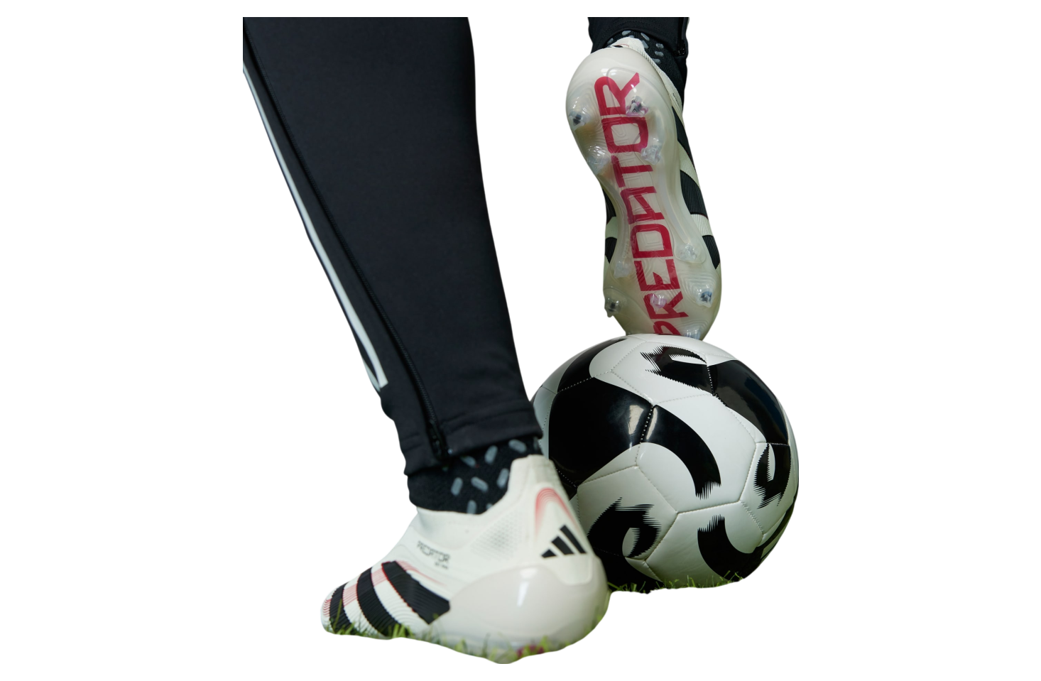 Adidas Predator Elite FG Off White / Core Black / Pure Ruby