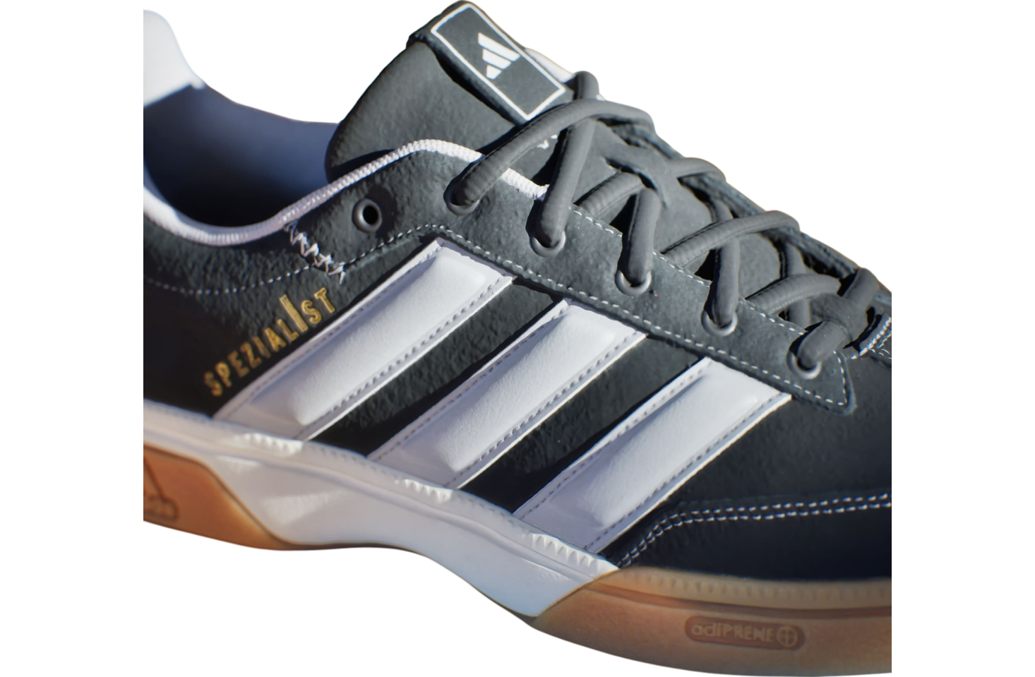 【Adidas コリア】 Spezialist Indoor Amazon.com | adidas Men's Spezialist Indoor Shoes Sneaker