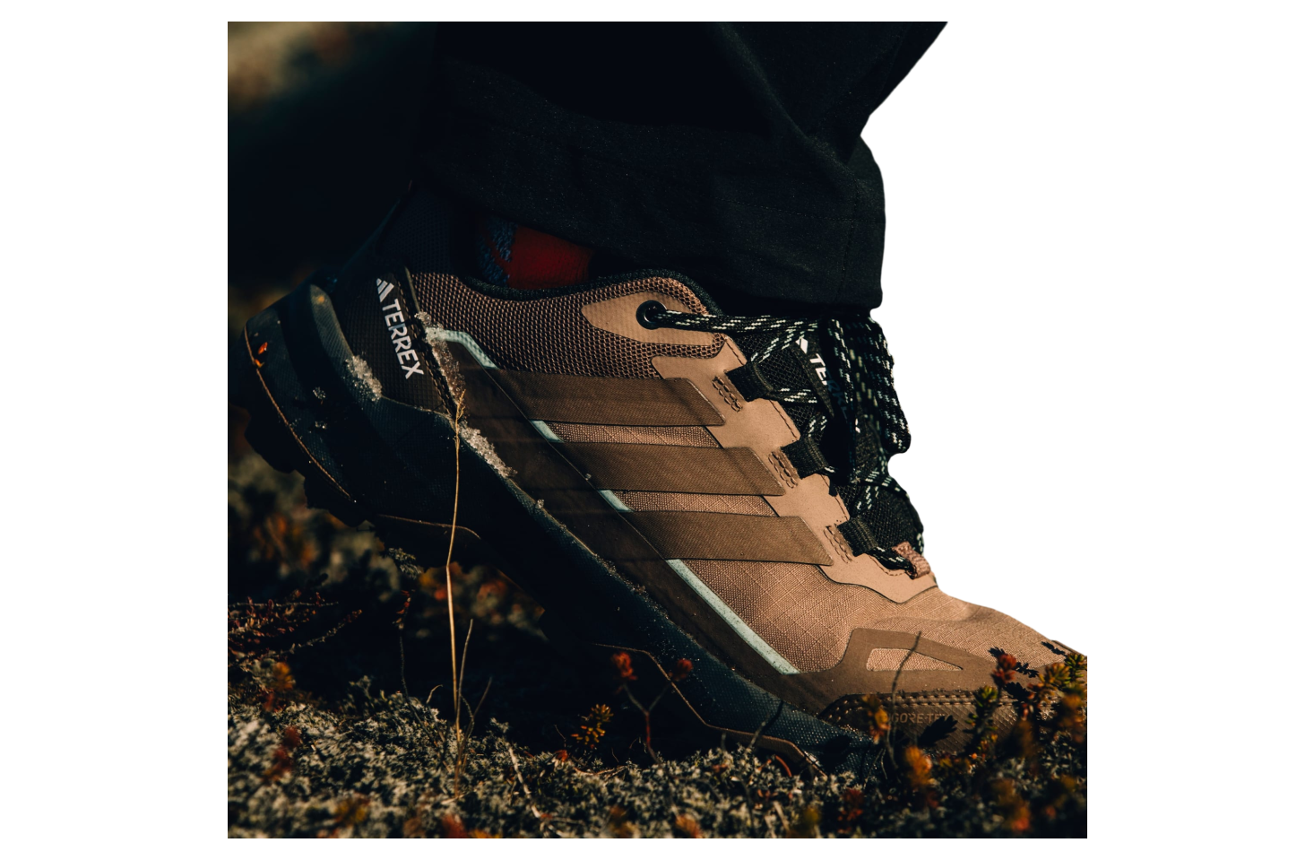 Adidas Terrex Skychaser Ax5 Gore-Tex WMNS Trace Brown / Earth Strata