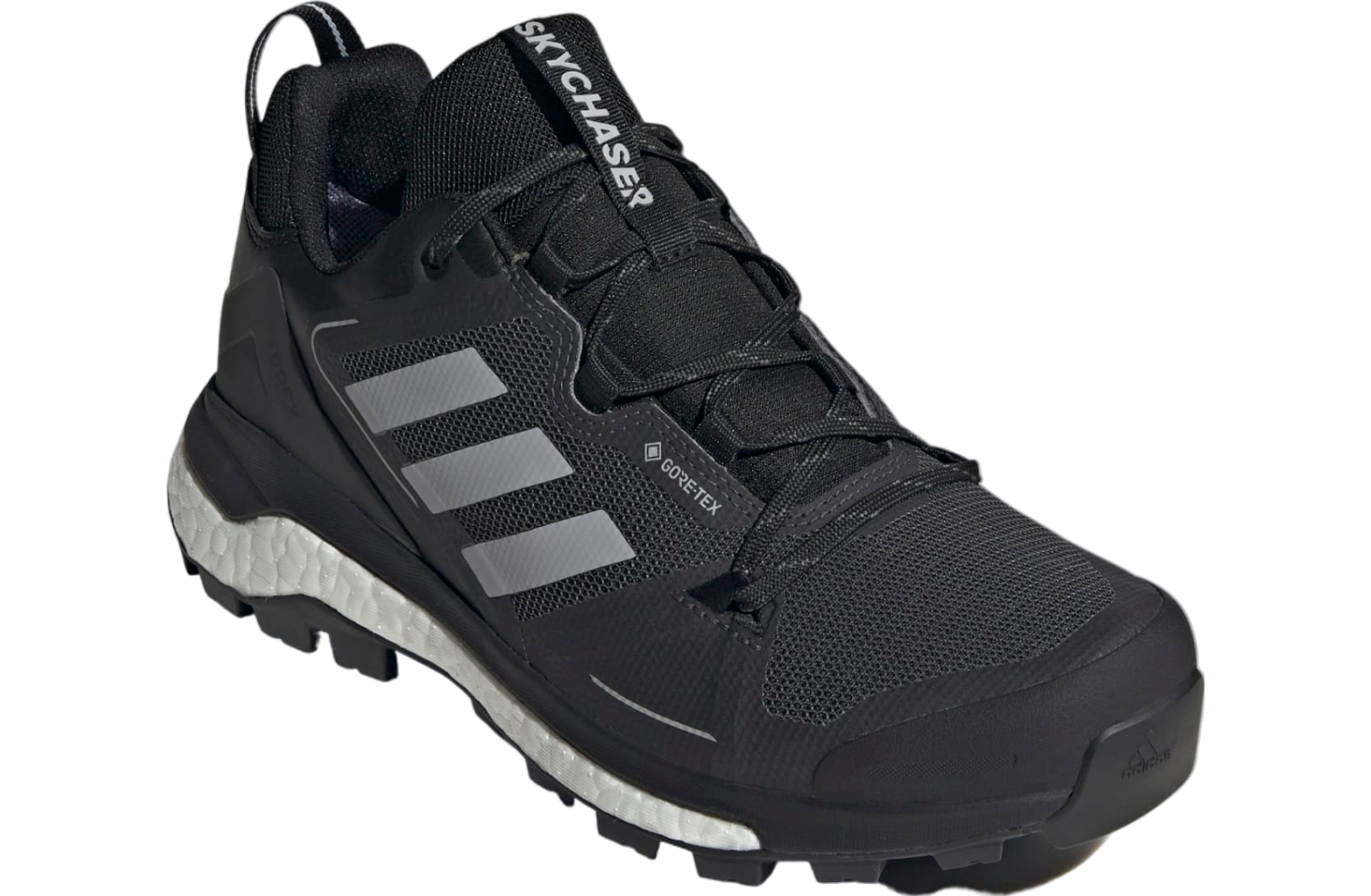 Adidas Terrex Skychaser Gore-Tex 2.0 Core Black / Halo Silver