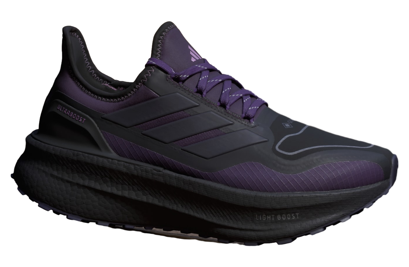 Adidas Ultraboost 5 Gtx WMNS Aurora Black / Aurora Plum