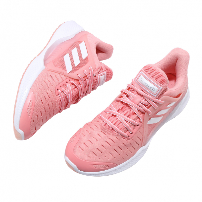 adidas WMNS Climacool Vent Glory Pink Cloud White - Apr. 2020 - EG1119
