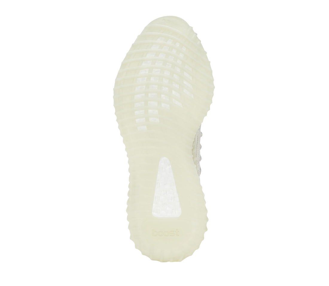 adidas Yeezy Boost 350 V2 CMPCT Slate Bone HO6519