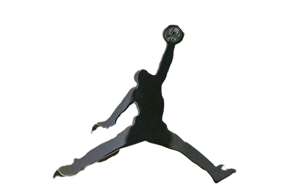 Air Jordan 11 H-Town