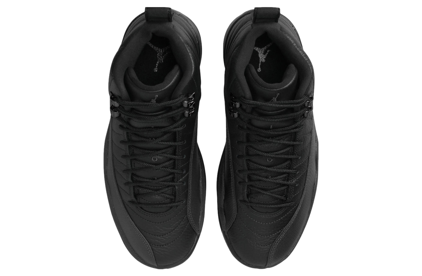 Air Jordan 12 Black Cat