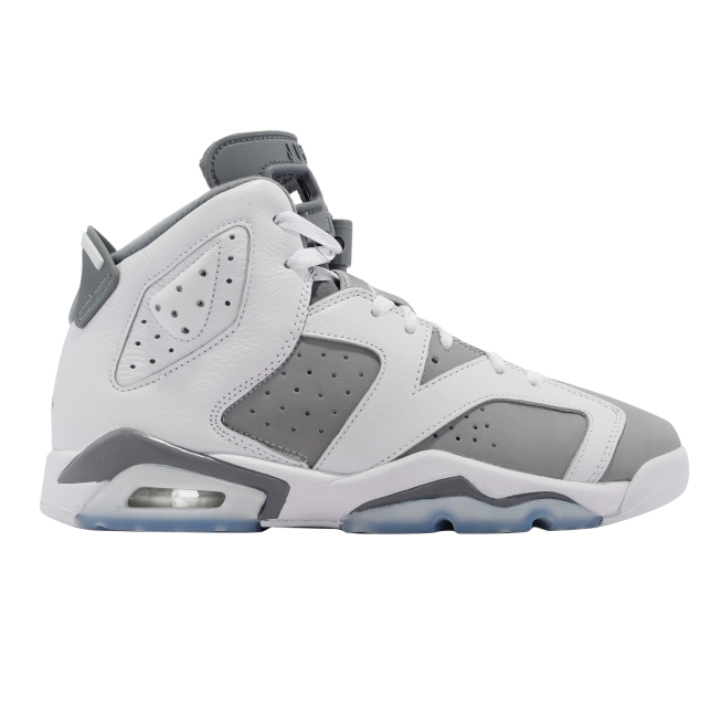 Air Jordan 6 GS Cool Grey 384665100