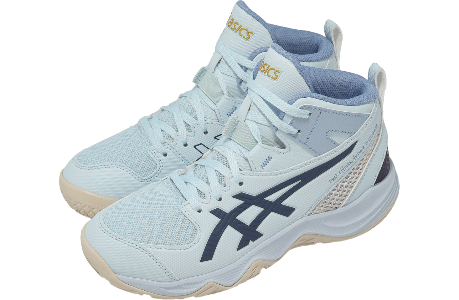 Asics Dunkshot MB 10 LE GS Benikakesora