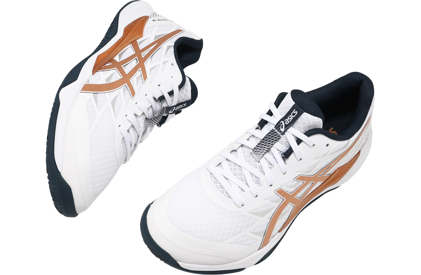 Asics GEL-Tactic 12 2E Wide White / Pure Bronze - Jul 2024