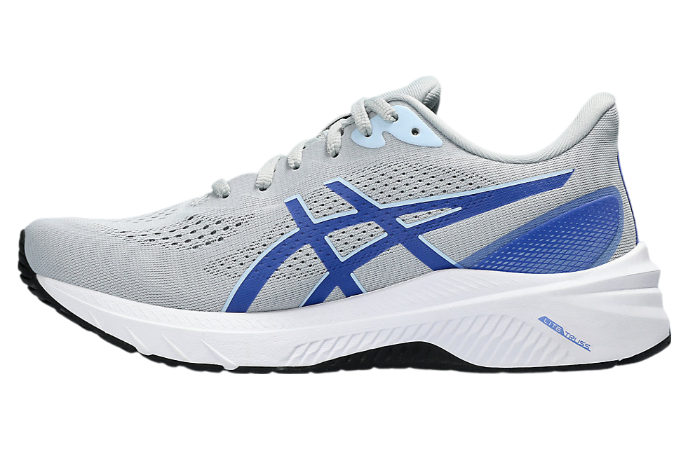 Asics GT-1000 12 WMNS Piedmont Grey / Light Blue