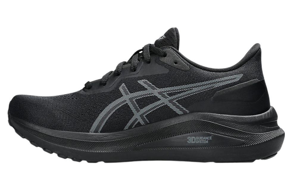 Asics GT-1000 13 Wide WMNS Black / Steel Grey