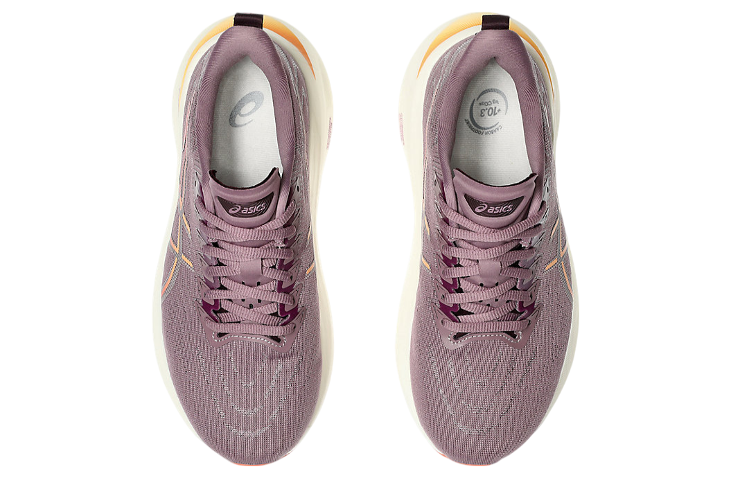 Asics GT-2000 13 Wide WMNS Dusty Mauve / Watershed Rose