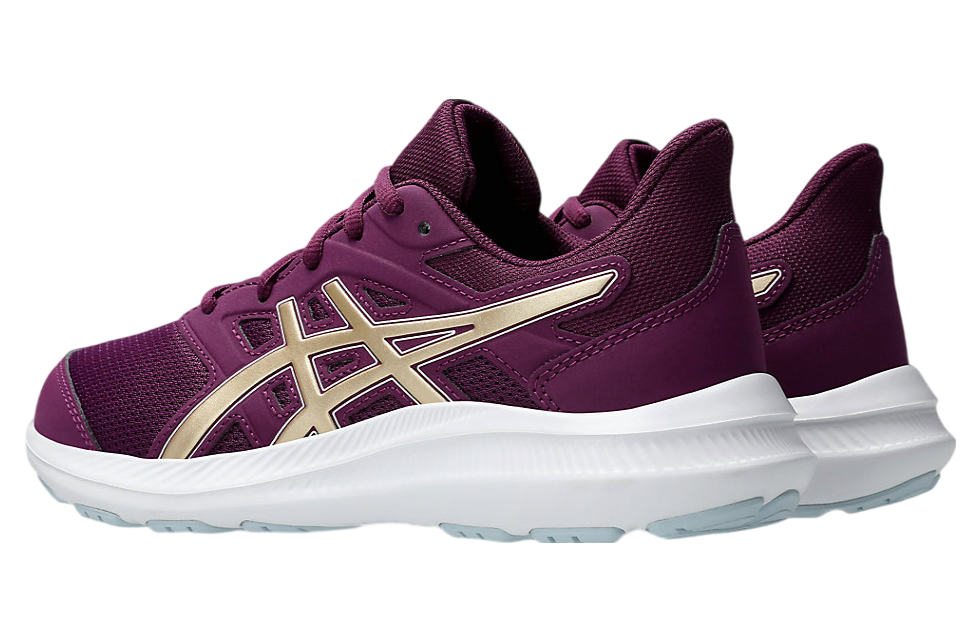 Asics Jolt 4 GS Deep Mauve / Champagne