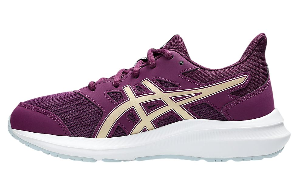 Asics Jolt 4 GS Deep Mauve / Champagne