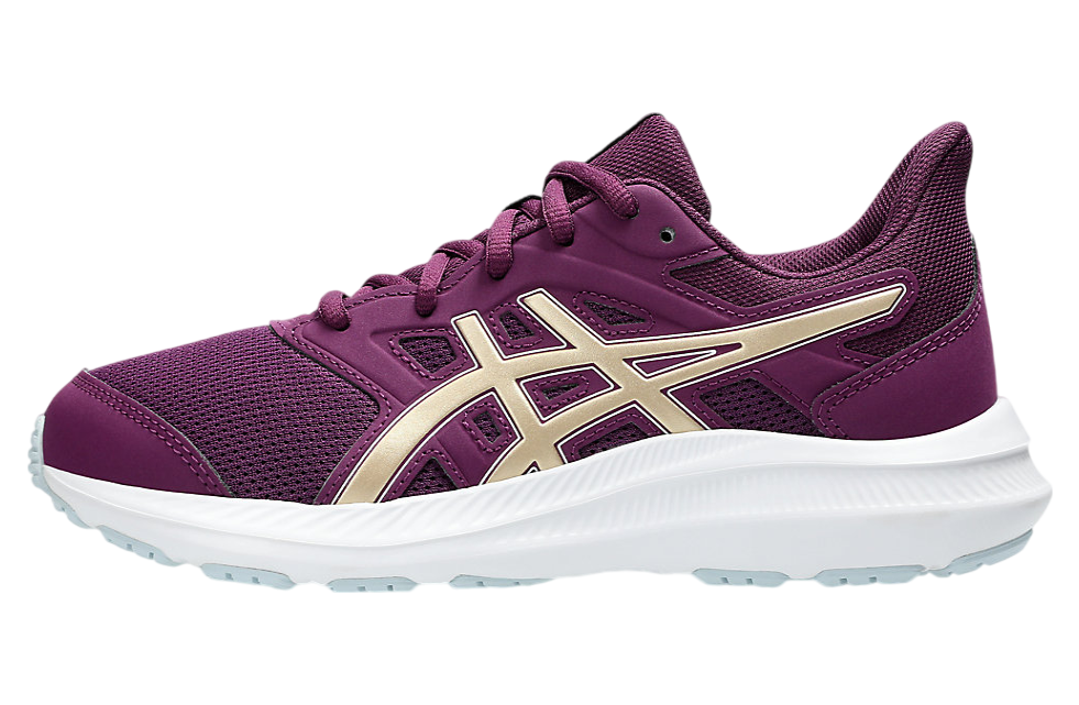 Asics Jolt 4 GS Deep Mauve / Champagne