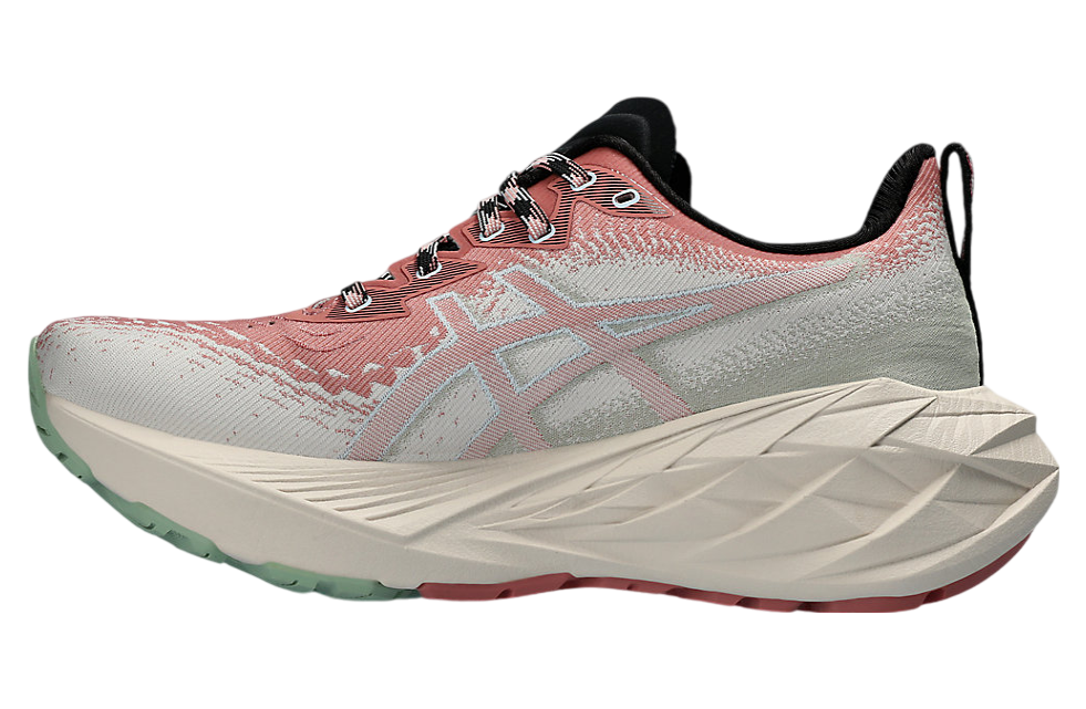 Asics Novablast 4 TR WMNS Nature Bathing / Rose Rouge