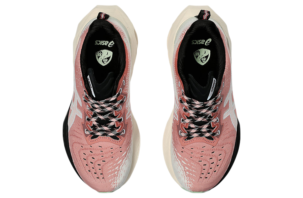 Asics Novablast 4 TR WMNS Nature Bathing / Rose Rouge