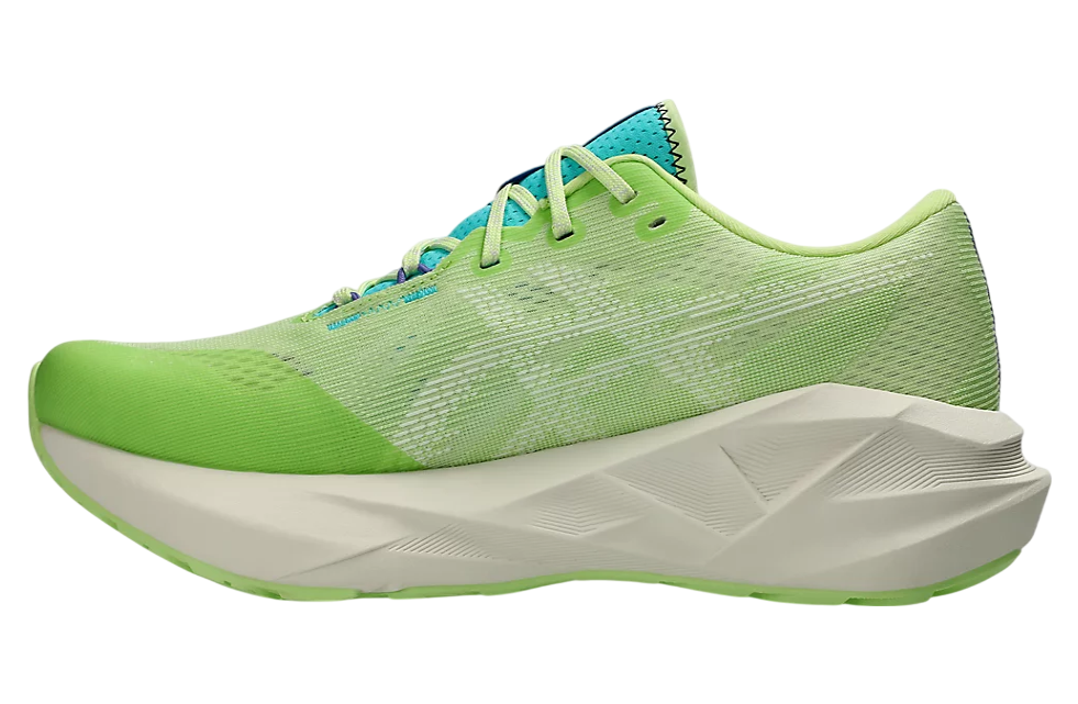 スパイク・シューズ asics NOVABLAST5 30cm Amazon | ASICS メンズ NOVABLAST 5 ランニングシューズ