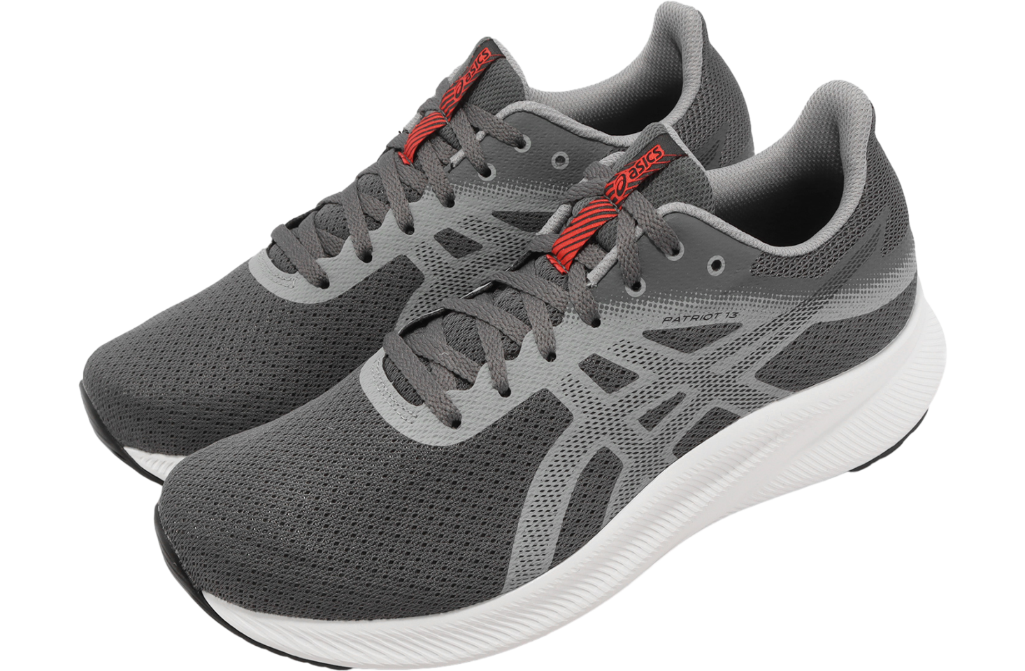 Asics Patriot 13 2E Wide Carrier Grey / Piedmont Grey