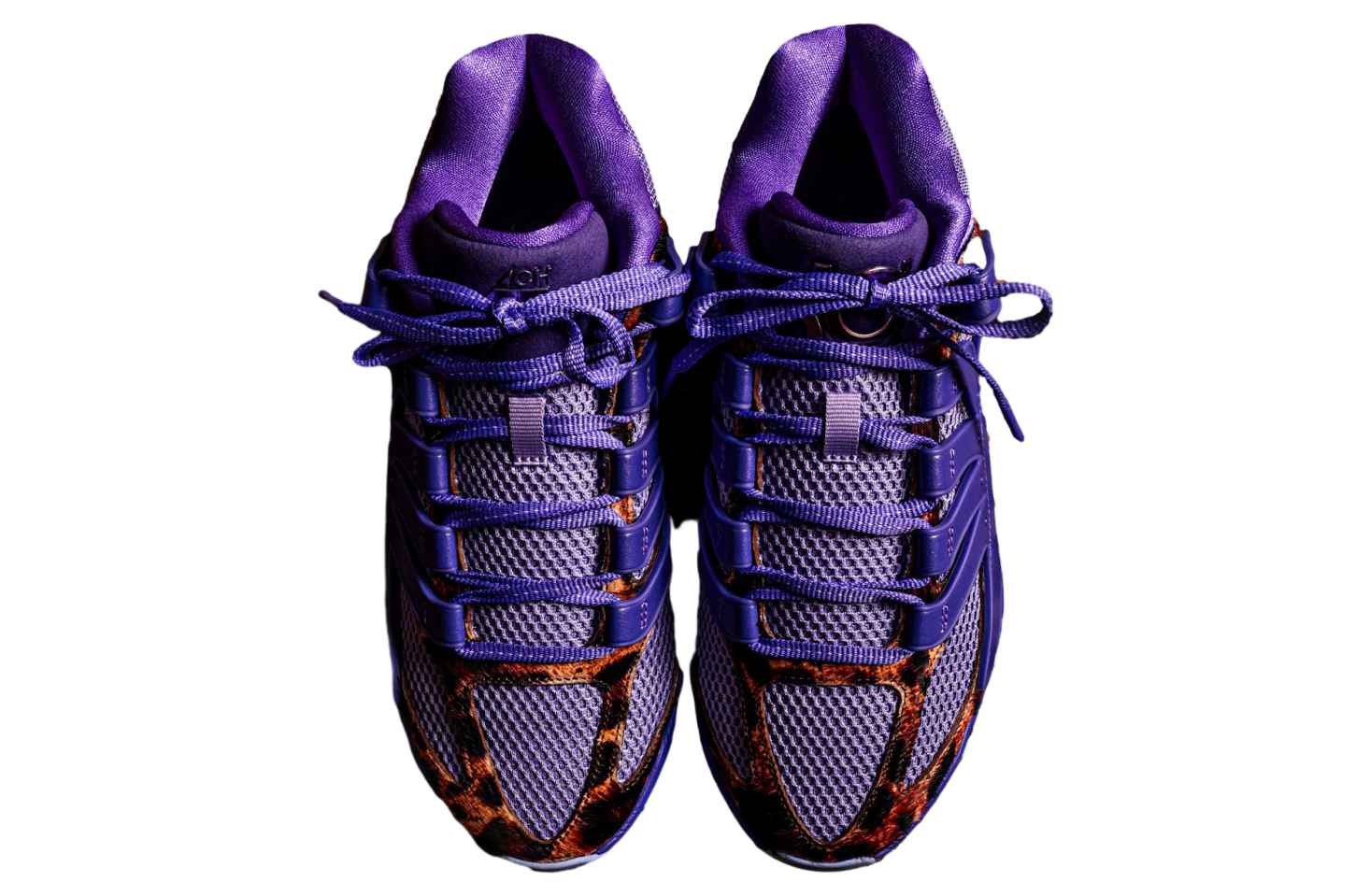 Chet Holmgren x Nike KD 18 hunder And Reign