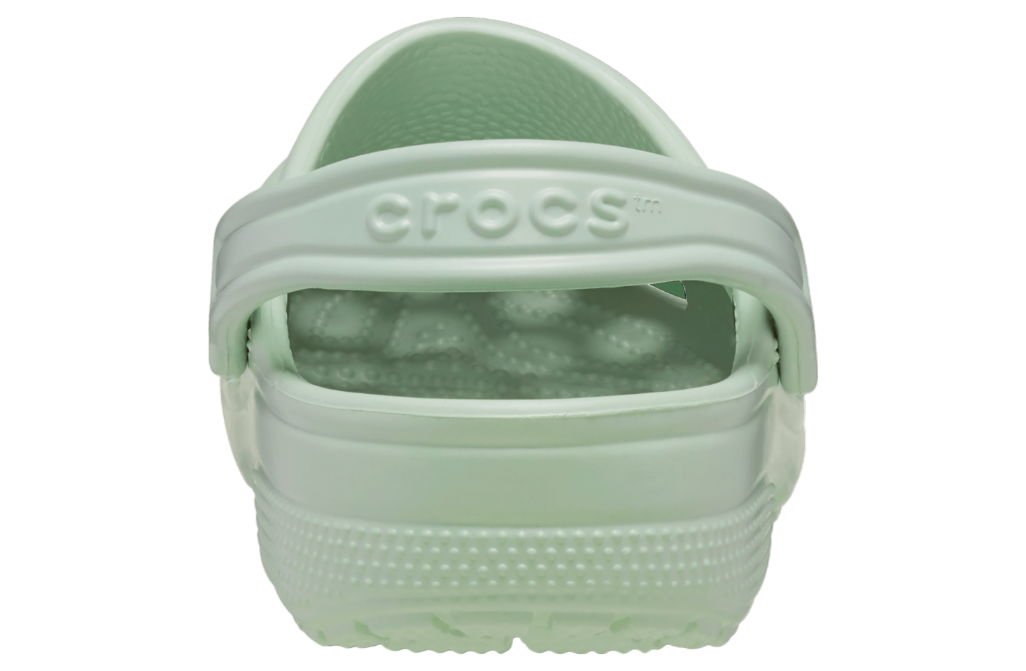 Crocs Classic Clog Plaster