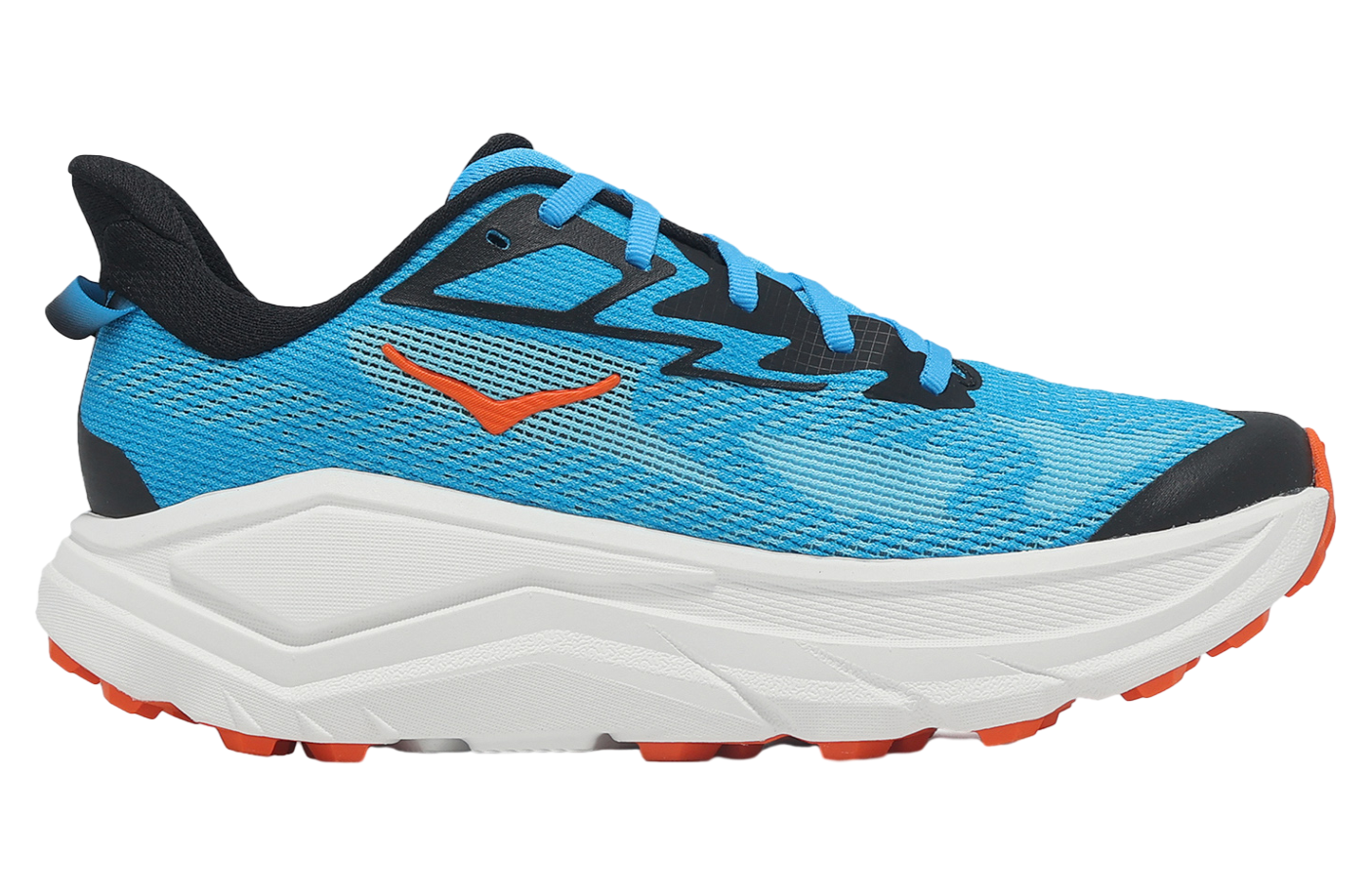 ブルーオーシャン adidas zx 8000 GV8270 | OVERKILL
