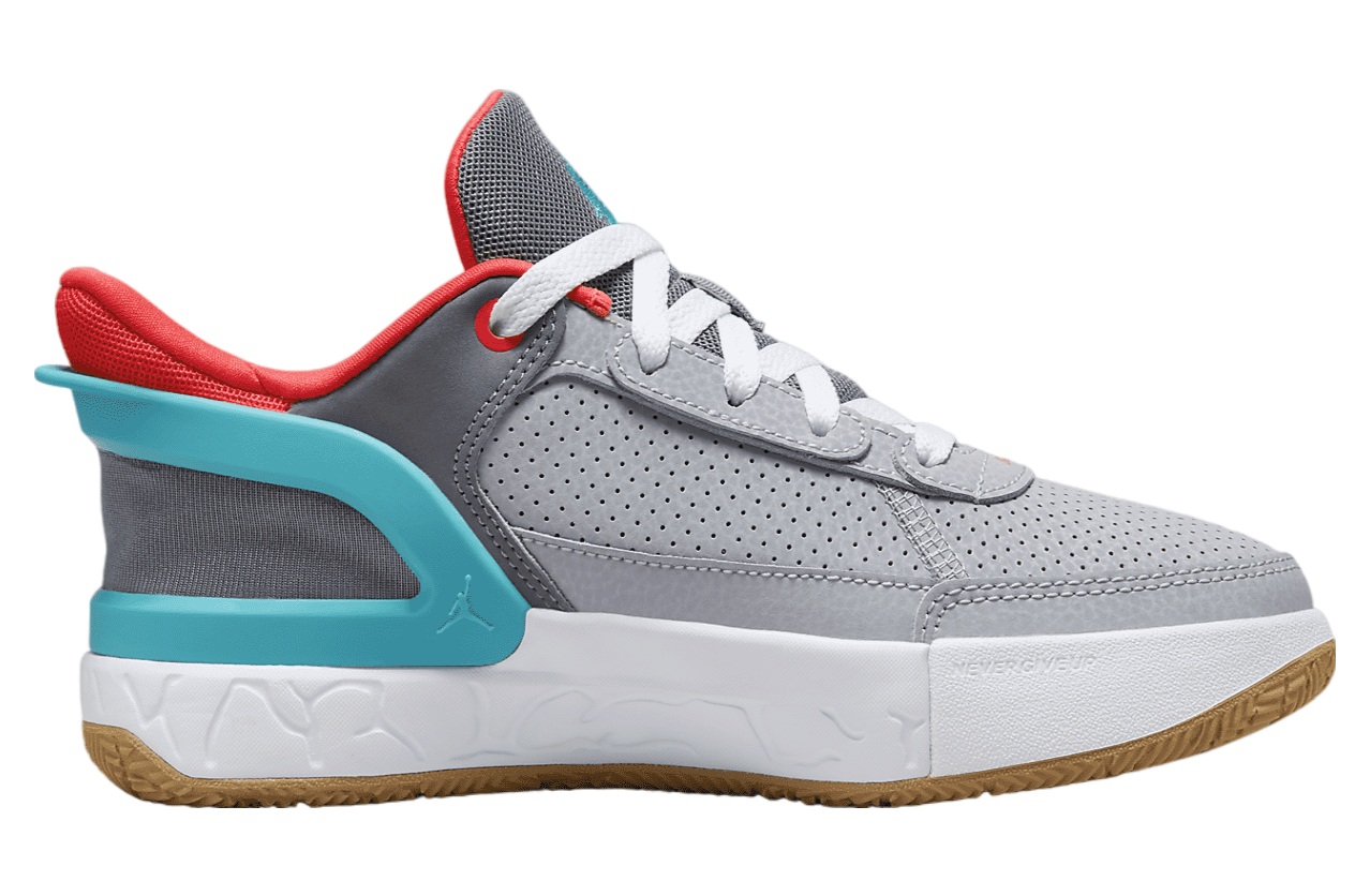 Jordan DAY1 EO GS Cool Grey / Dusty Cactus