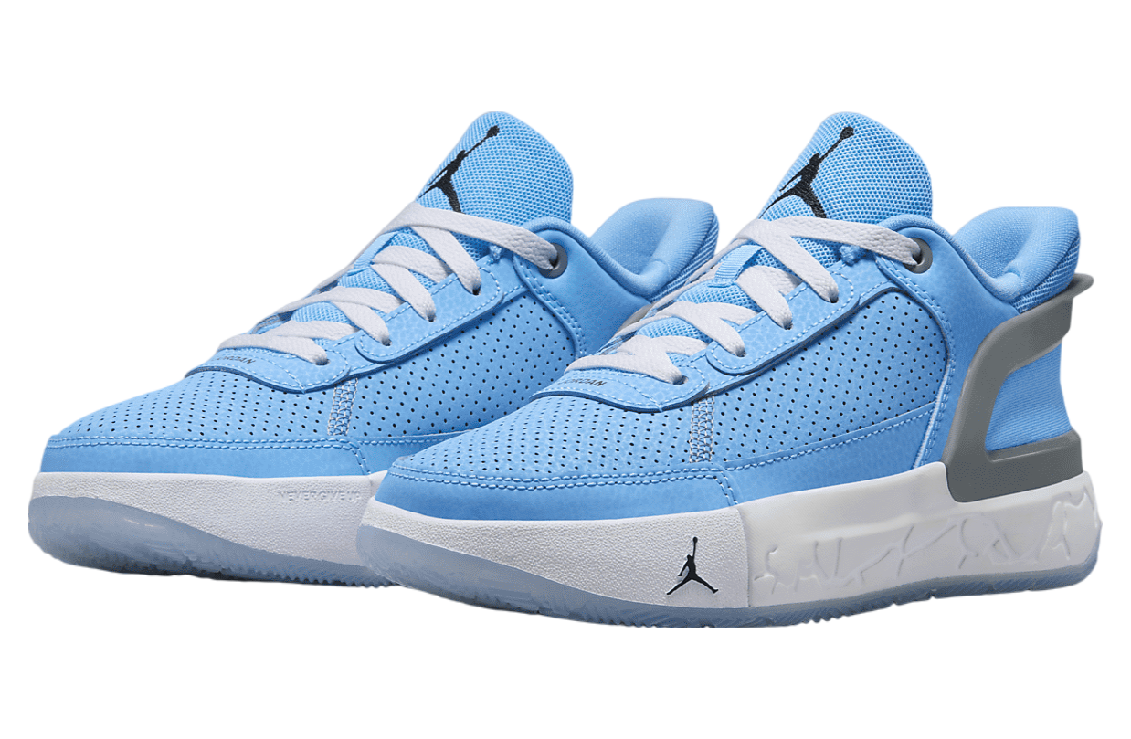 Jordan Day1 EO GS University Blue / Legend Blue