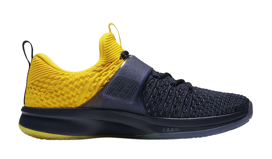 Jordan Trainer 2 Flyknit Michigan