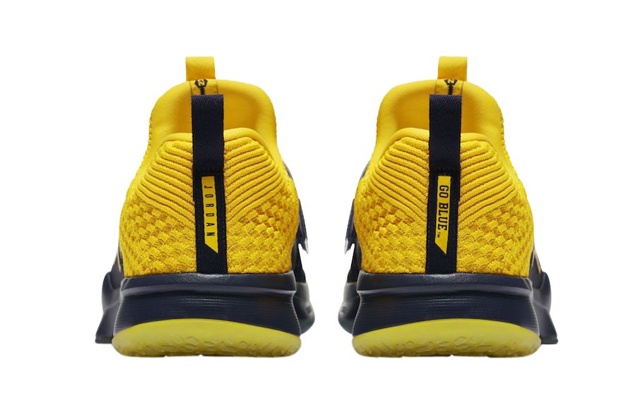 Jordan Trainer 2 Flyknit Michigan