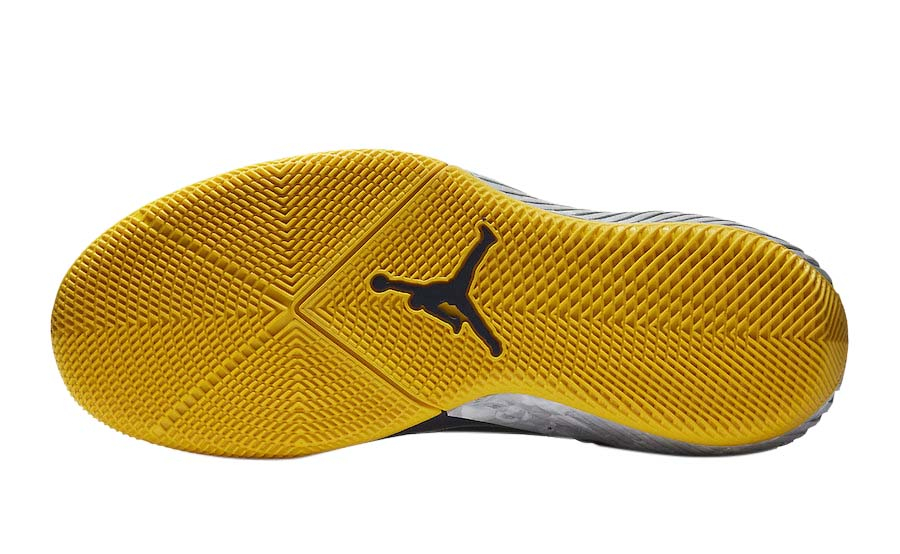 Jordan Why Not Zer0.1 Michigan