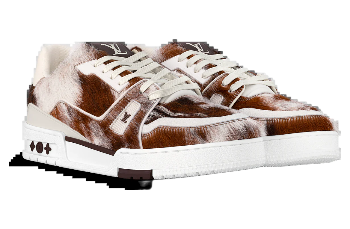 Louis Vuitton LV Trainer White / Brown